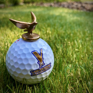 Miniatuur "Flying Birdie" brons